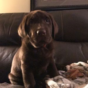 Meet your Posher, Mark